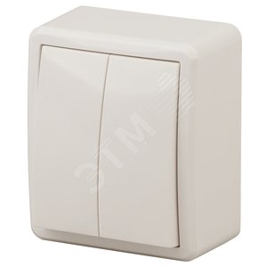 Изображение товара Выключатель двухклавишный наружный (открытой установки) IP20 слоновая кость 10А 250В винтовые зажимы ЭРА Эксперт 11-1204-02 (шт)
