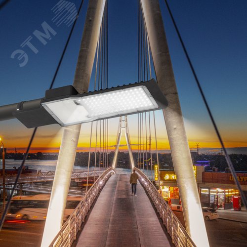 Светильник уличный светодиодный ДКУ 100Вт 5000К 10000Лм КСС Ш 48мм SPP-503-0-50K-100 - фото 13