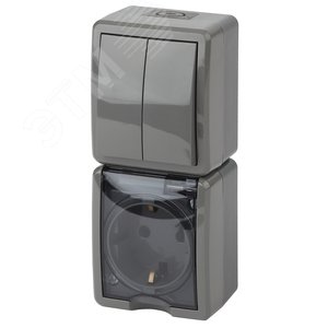 Изображение товара Блок розетка+выкл. двойн. верт. IP54, 16A(10AX)-250В, ОУ, Эра Эксперт, серый, 11-7408-03 (шт)