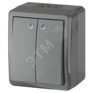 Изображение товара Выключатель двухклавишный наружный (открытой установки) с подсветкой IP54 серый 10А 250В винтовые зажимы ЭРА Эксперт 11-1405-03 (шт)