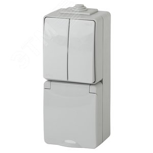 Изображение товара Блок розетка+выкл. двойн. верт. IP65, 16A(10AX)-250В, ОУ, Эра Эксперт, серый, 11-7608-03 (шт)