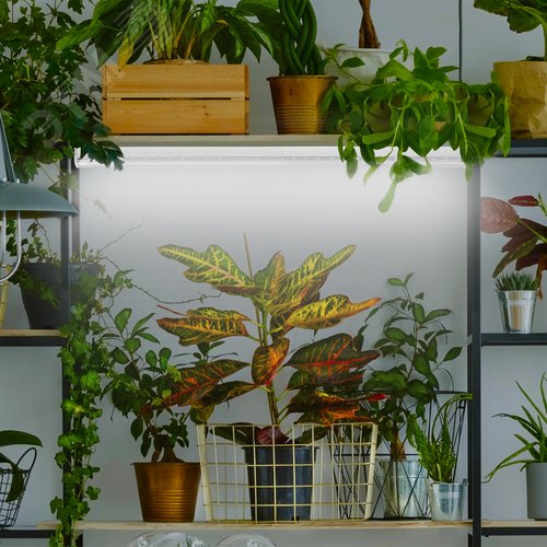 Лампа светодиодная полноспектральная Т8 с красными и белыми светодиодами для профессионального выращивания растений FITO-18W-Ra90-Т8-G13-NL - фото 11