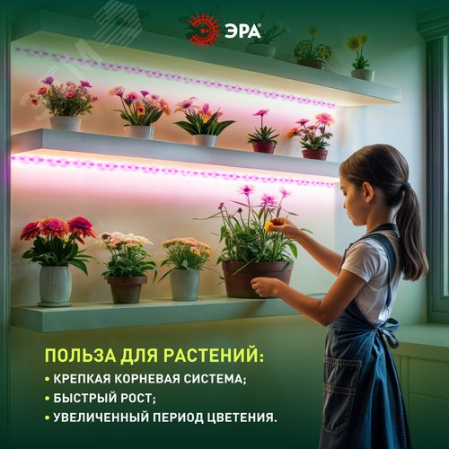 Лента светодиодная для растений с адаптером 12V FITO-Strip Light-RB-27W-3m-12V-IP65 красно-синего спектра 3м IP65 GREEN LINE - фото 2