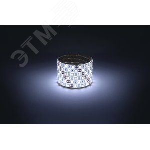 Лента светодиодная 14,4Вт/м 12В 6500К IP65 60LED/м LS5050-14,4-60-12-6500K-IP65-1 year-5m - фото 2