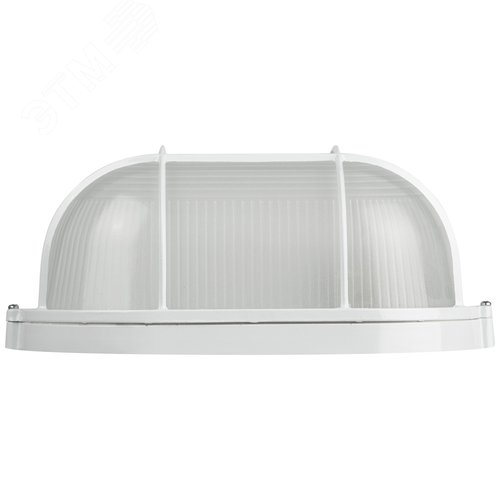 Светильник светодиодный НБП 04-100-002 100Вт, Е27, 220В, IP54, УЗ 8/144 - фото 4