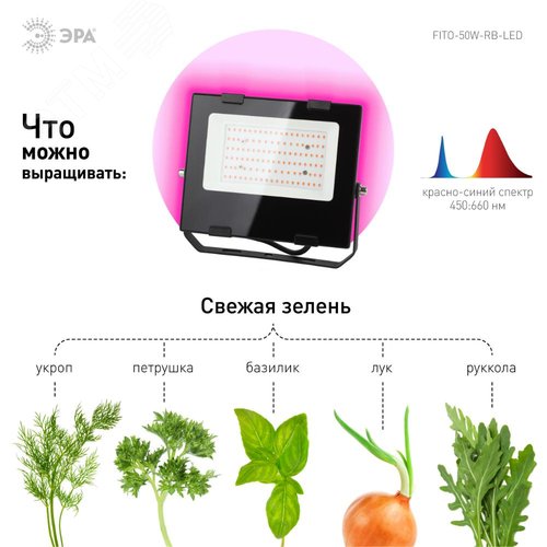 Прожектор красно-синего спектра FITO-50W-RB-LED - фото 10