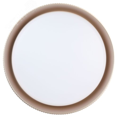 Светильник потолочный светодиодный ДПБ 48Вт 2600Лм 3000-6500К Классик без ДУ SPB-6 Bella 48W-3K-6,5K WH 3000-6500К белый - фото 2