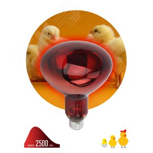 Инфракрасная лампа ИКЗК 230-150 R127, кратность 1 шт. для обогрева животных и освещения, 150 Вт, Е27 Б0055441 ЭРА - 3