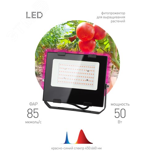 Прожектор красно-синего спектра FITO-50W-RB-LED - фото 8