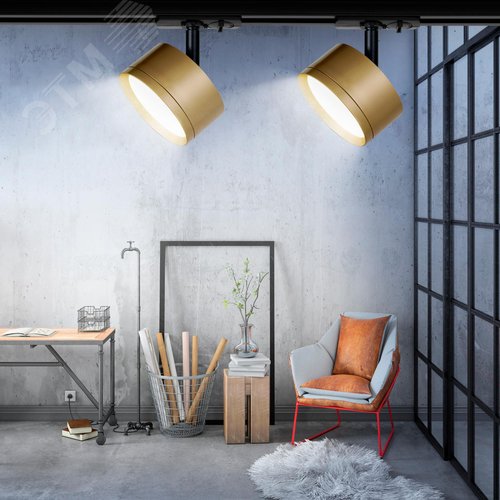 Светильник трековый TR48 - GX53 MG однофазный под лампу GX53 матовое золото под лампу GX53, лампа в комплект не входит - фото 6