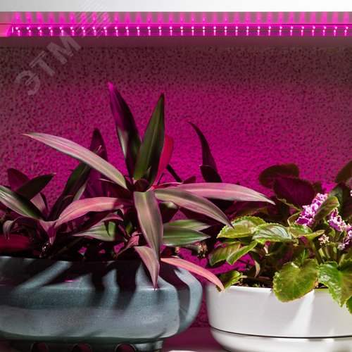 Светильник для растений, фитолампа светодиодная линейная FITO-10W-Т5-RB-Slim красно-синего спектра 10 Вт Т5 - фото 7