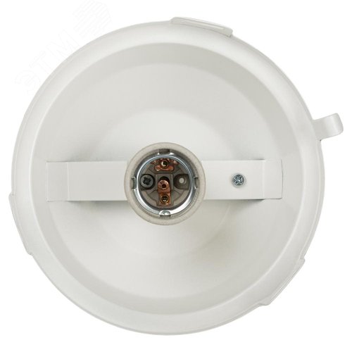 Светильник НСП 02-100-001 без решетки Желудь сталь / стекло IP54 E27 max 100Вт 170х260 белый - фото 4