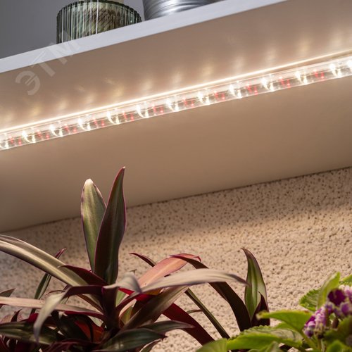 Светильник для растений, фитолампа светодиодная линейная FITO-10W-Т5-Ra90-Slim полного спектра 10 Вт Т5 - фото 9