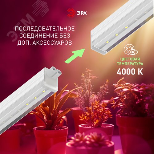 Светильник для растений, фитолампа светодиодная линейная FITO-18W-PL-LINE 573-GR красно-синего спектра 18 Вт Т5 - фото 15