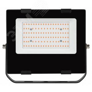 Изображение товара Прожектор красно-синего спектра FITO-50W-RB-LED (шт)