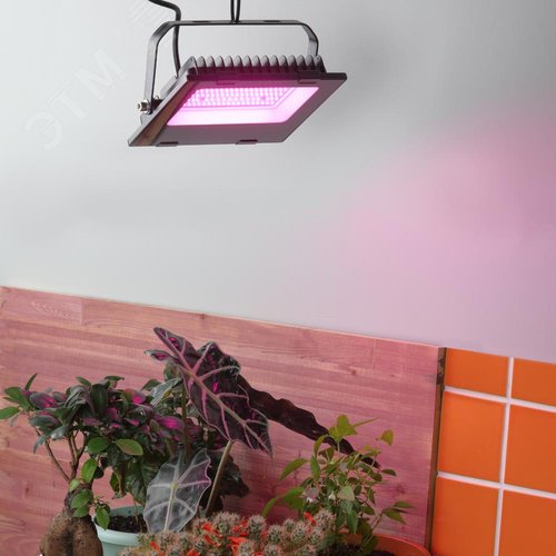 Прожектор красно-синего спектра FITO-50W-RB-LED - фото 9