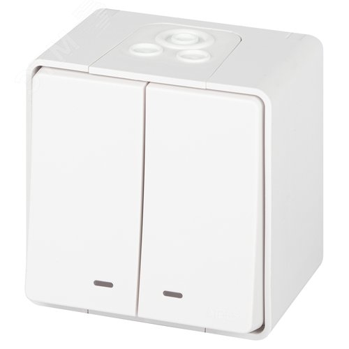 Изображение товара Выключатель двухклавишный наружный (открытой установки) с подсветкой IP55 белый 10А 250В винтовые зажимы ЭРА Эксперт 11-1505-01 (шт)