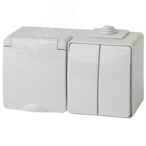 Изображение товара Блок розетка+выкл. двойн. гориз. IP65, 16A(10AX)-250В, ОУ, Эра Эксперт, серый, 11-7602-03 (шт)