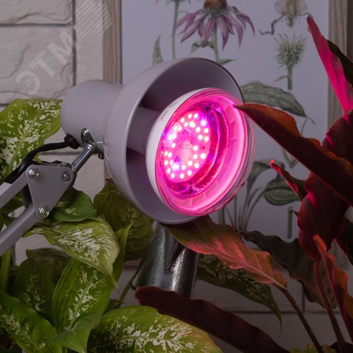 Лампа светодиодная лампа для рассады тип А60,FITO-16W-RB-E27-K 16 Вт, 220-240V - фото 9