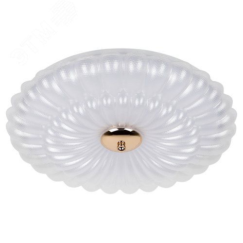 Светильник светодиодный потолочный ДПБ-48Вт 5000К SPB-6 Chester 48W WH+GD без ДУ - фото 2