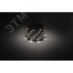 Лента светодиодная 7,2Вт/м 12В 4000К IP20 30LED/м LS5050-7,2-30-12-4000K-IP20-1 year-5m - фото 2