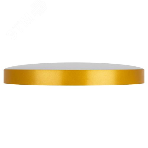 Светильник потолочный светодиодный Relict 48 Pult SPB-6-60-RC MG с ДУ 60Вт 3000-6500К Золото - фото 3