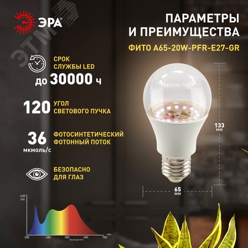 Фитолампа светодиодная для растений полного спектра LED 20 Вт ФИТО A65-20W-PFR-E27-GR GREEN LINE - фото 3