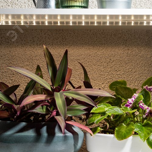 Светильник для растений фитолампа светодиодная линейная FITO-10W-Т5-PFR-Slim-GR полного спектра 10 Вт GREEN LINE - фото 15