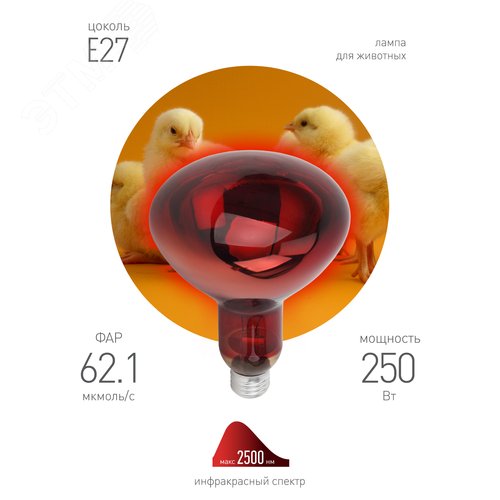 Лампа инфракрасная ИКЗК 220-250 R127 E27 250 Вт. - фото 3