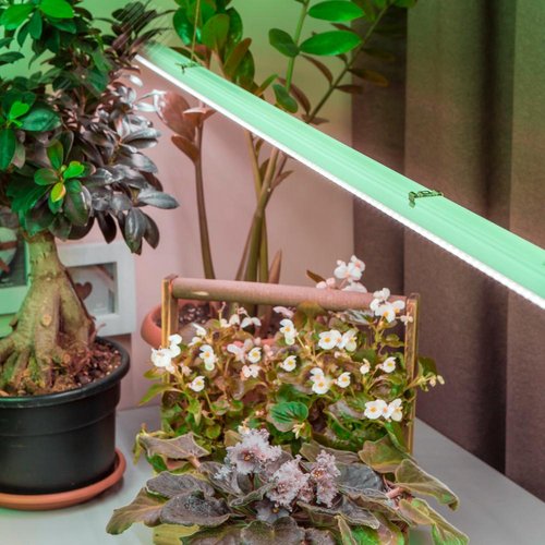 Лампа светодиодная полноспектральная Т8 с красными и белыми светодиодами для профессионального выращивания растений FITO-18W-Ra90-Т8-G13-NL - фото 10