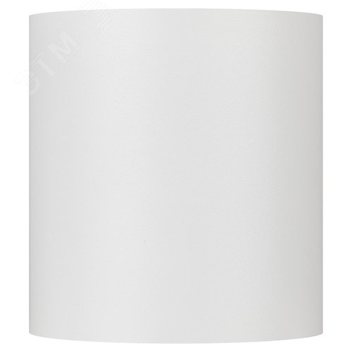 Светильник настенно-потолочный спот OL47 WH MR16 GU10 IP20 белый - фото 4