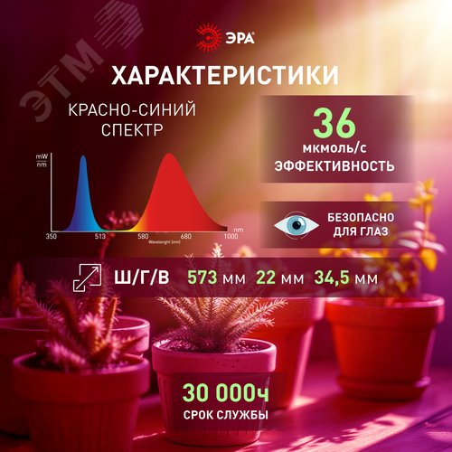 Светильник для растений, фитолампа светодиодная линейная FITO-18W-PL-LINE 573-GR красно-синего спектра 18 Вт Т5 - фото 11