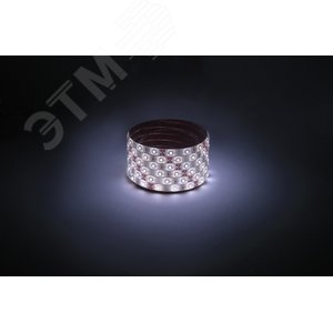 Лента светодиодная 4,8Вт/м 12В 6500К IP65 60LED/м LS2835-60LED-IP65-W-eco-5m - фото 3