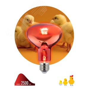 Инфракрасная лампа E27 для обогрева животных и освещения 100 Вт ИКЗК 230-100 R95 E27