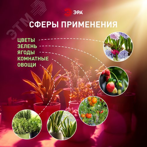 Светильник для растений, фитолампа светодиодная линейная FITO-18W-PL-LINE 573-GR красно-синего спектра 18 Вт Т5 - фото 16