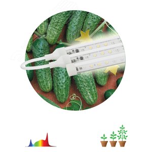 Модульный светильник для растений FITO-3х10W-LINE-Ra90 полного спектра 30 Вт Б0049315 ЭРА - 3