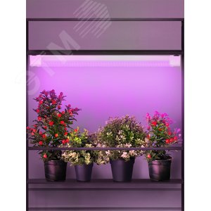 Светильник для растений, фитолампа светодиодная линейная FITO-24W-RB-N красно-синего спектра 24 Вт - фото 3