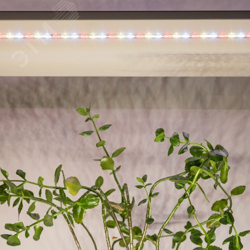 Лента светодиодная для растений полного спектра 3м IP65 с адаптером 12V FITO-Strip Light-Rа90-27W-3m-12V-IP65 - фото 9