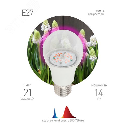 Лампа светодиодная лампа для рассады тип А60, 14 Вт, 220-240V FITO-12W-RB-E27-K - фото 3