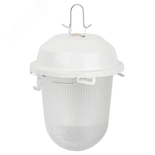 Светильник НСП 02-100-001 без решетки Желудь сталь / стекло IP54 E27 max 100Вт 170х260 белый - фото 2