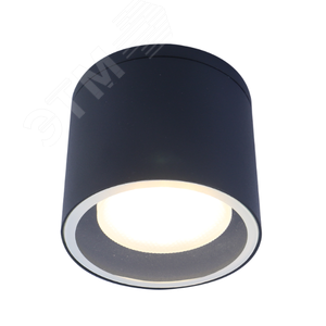 Светильник настенно-потолочный спот WL40 BK GX53, черный, IP54 (лампа с цоколем GX53 в комплект не входит)
