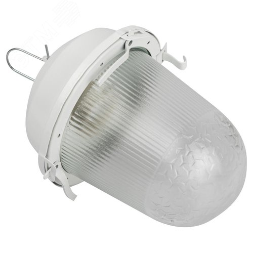 Светильник НСП 02-100-001 без решетки Желудь сталь / стекло IP54 E27 max 100Вт 170х260 белый - фото 7