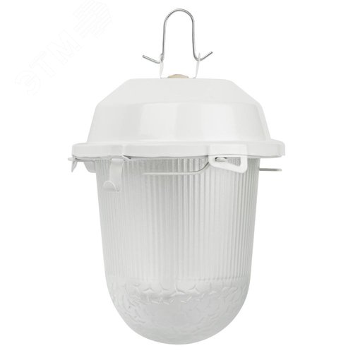 Светильник НСП 02-100-001 без решетки Желудь сталь / стекло IP54 E27 max 100Вт 170х260 белый - фото 5