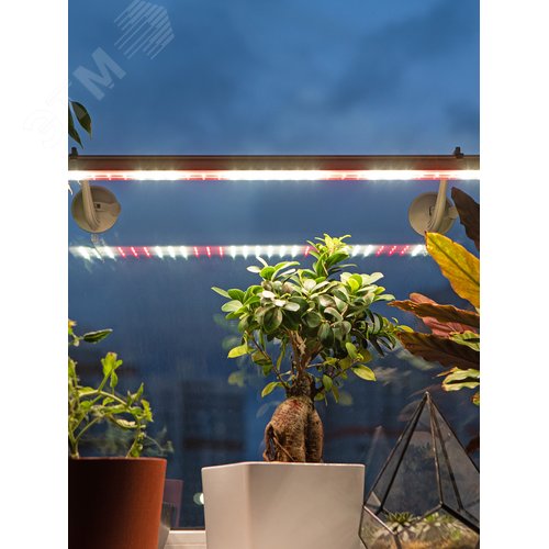 Светильник для растений фитолампа светодиодная линейная FITO-35W-Ra90 полного спектра 35 Вт - фото 13