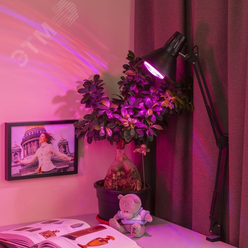 Лампа светодиодная лампа для рассады тип А60,FITO-16W-RB-E27-K 16 Вт, 220-240V - фото 8