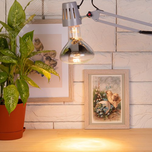 Лампа инфракрасная ИКЗ 220-250 R127 E27 250 Вт ЭРА - фото 6