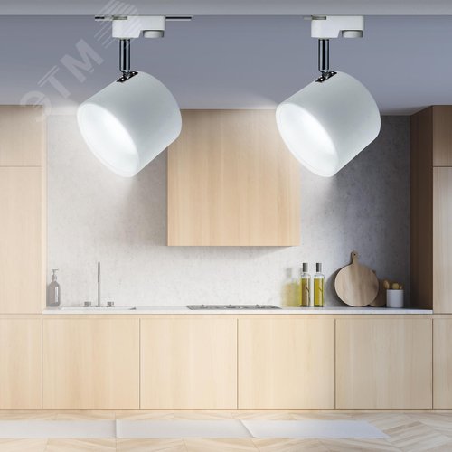 Светильник трековый однофазный TR15 GX53 WH/SL белый+серебро - фото 2