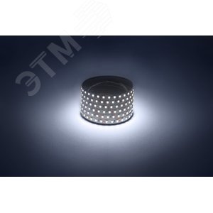 Лента светодиодная 9,6Вт/м 12В 6500К IP20 120LED/м LS2835-9,6-120-12-6500K-IP20-1 year-50m - фото 2