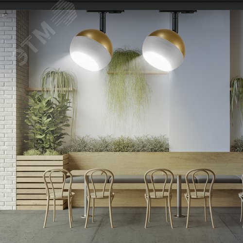 Светильник трековый TR46 - GX53 MG однофазный под лампу GX53 матовое золото под лампу GX53, лампа в комплект не входит - фото 9