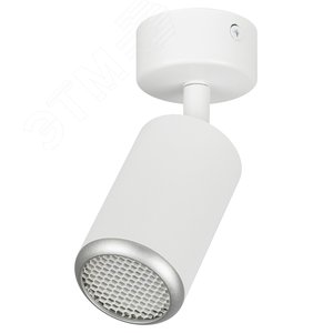Изображение товара Светильник настенно-потолочный спот IP20 белый/серебро OL55 WH/SL MR16 GU10 (шт)
